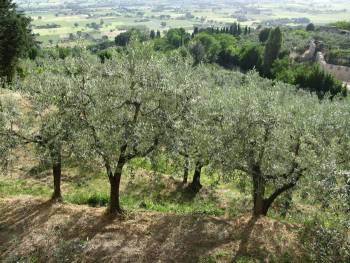 Επιπλέον 30 εκατ. ευρώ για προώθηση αγροτικών προϊόντων