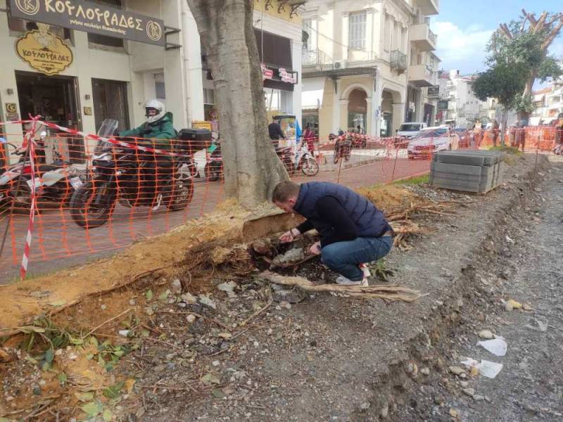 ΑΝΑΠΛΑΣΗ 23ης ΜΑΡΤΙΟΥ: Αφαίρεση των φίκων εξετάζει η δημοτική αρχή