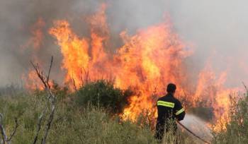 Πρόσληψη 22 εργατών πυροπροστασίας στο Δήμο Καλαμάτας