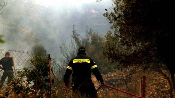 Πυρκαγιά σε εξέλιξη στην περιοχή Αγίου Θωμά Δενδρών Αργολίδας