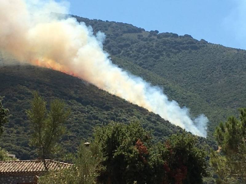 Κυπαρισσία: Νέα φωτιά στους Μπλεμενιάνους