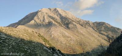 Εξόρμηση στο Τραγοβούνι