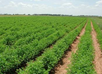 Παρακράτηση 17 εκατ. ευρώ από την ΚΑΠ προς την Ελλάδα