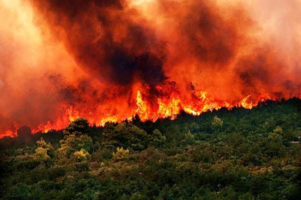 Το τελευταίο 24ωρο εκδηλώθηκαν 36 δασικές πυρκαγιές σε όλη την Ελλάδα