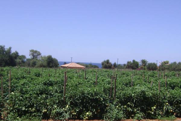 «Ποιότητα εδαφοϋδατικών πόρων στη λεκάνη Τριφυλίας και αγροτική παραγωγή» στα Φιλιατρά