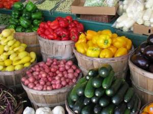 ΤΕΙ Πελοποννήσου: Διεθνές συνέδριο για αγροδιατροφικά προϊόντα