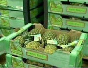 230 κιλά “άσπρη” σε φορτίο με ανανάδες: Μεσσήνιος σε μεγάλο κόλπο με κοκαΐνη