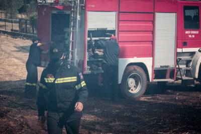 Μεσσηνία: Πυρκαγία σε εξέλιξη στο Μανιάκι