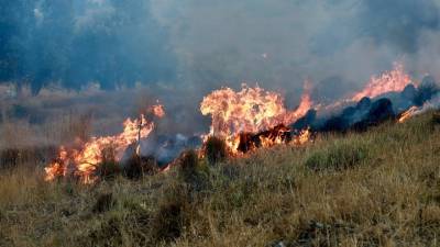 Ρέθυμνο: Νέα πυρκαγιά στον Ασώματο - Μεγάλη κινητοποίηση επίγειων και εναέριων δυνάμεων