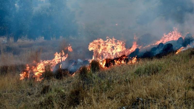 Ρέθυμνο: Νέα πυρκαγιά στον Ασώματο - Μεγάλη κινητοποίηση επίγειων και εναέριων δυνάμεων