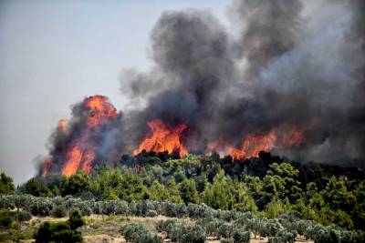 Ηλεία: Πυρκαγιές σε εξέλιξη σε Ωλένη και Πανόπουλο