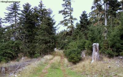 Εξόρμηση ορειβατών στο βόρειο Μαίναλο