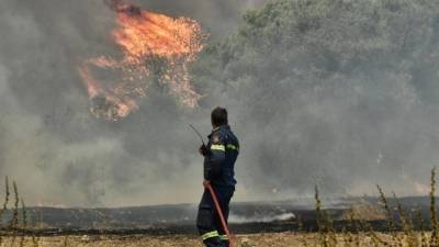 Ανατολική Μάνη: Οριοθετημένη η φωτιά στη Μίνα Οιτύλου