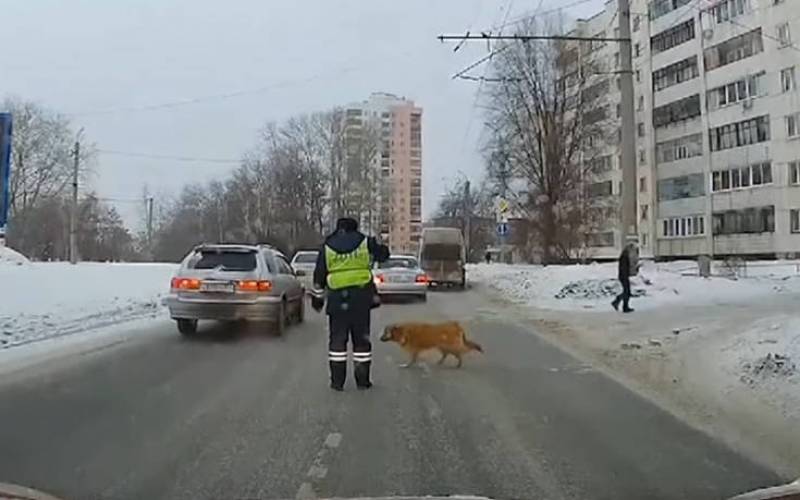 Ρωσία: Αστυνομικός σταμάτησε την κυκλοφορία για να περάσει ένας σκύλος (Βίντεο)