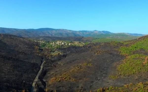 Το μαύρο αποτύπωμα της μεγάλης φωτιάς στην Εύβοια (Βίντεο)