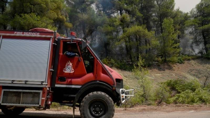 Δήμος Οιχαλίας: Δημιουργία ζωνών προστασίας από δασικές πυρκαγιές