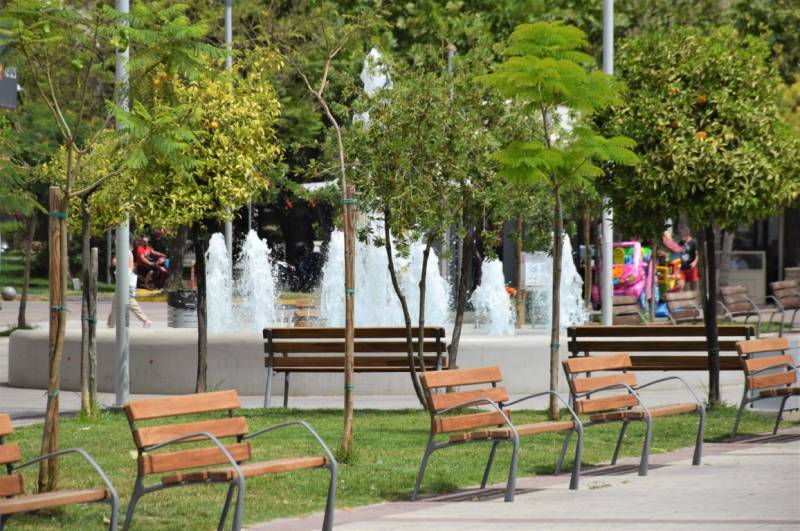 Ο δήμαρχος Καλαμάτας για τον... πρωταθλητισμό στο πράσινο: "1.000 νέα δένδρα κάθε χρόνο στην Καλαμάτα"