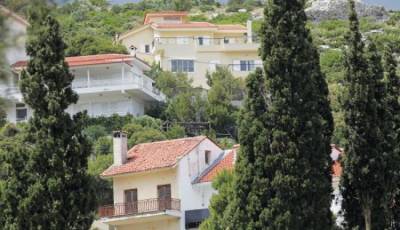 Η &quot;Πελοπόννησος Πρώτα&quot; κατά δήμων για τους δασικούς χάρτες
