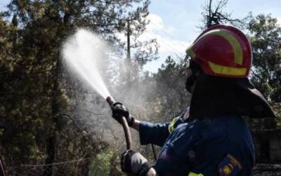 Τέσσερις εργάτες πυροπροστασίας στον Δήμο Τρίφυλίας
