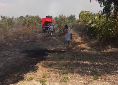 Μεσσηνία: Πυρκαγιά στο Ανω Καλό Νερό