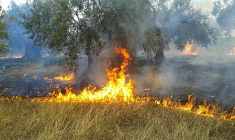 Βόλος: 73χρόνος κάηκε στην προσπάθειά του να κάψει κλαδιά στο κτήμα του