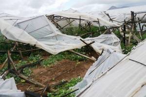 Πορίσματα για τις ζημιές  από την ανεμοθύελλα στο Δήμο Καλαμάτας