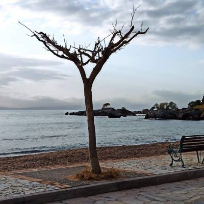 Τουριστική σχιζοφρένεια με βόλτες σε εκθέσεις