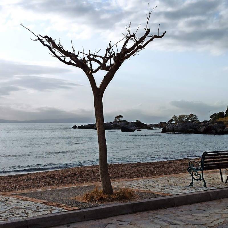 Τουριστική σχιζοφρένεια με βόλτες σε εκθέσεις