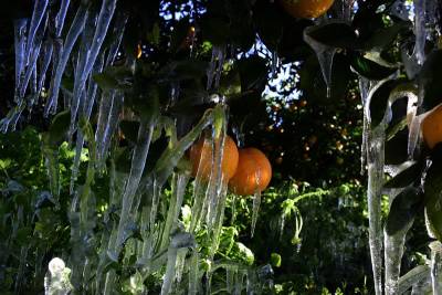 Meteo: Πάγωσαν τα ορεινά της χώρας - Πού έπεσε στους -12,8 ο υδράργυρος