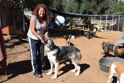 Πάνω από 600 αδέσποτα υπό την φροντίδα του Φιλοζωικού Ομίλου Καλαμάτας (βίντεο-φωτογραφίες)