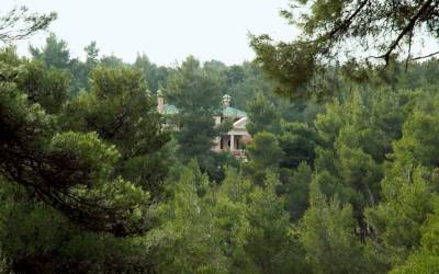 Στα δικαστήρια ο Τατούλης για τους δασικούς χάρτες