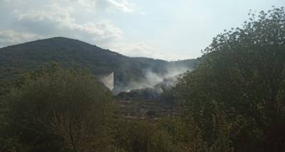 Μεσσηνία: Πρόλαβαν πυρκαγιά στο Πουλίτσι (βίντεο)