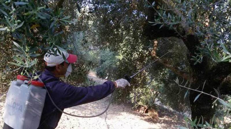 Μεσσηνία: Το πρόγραμμα της δακοκτονίας για την Παρασκευή 5/8