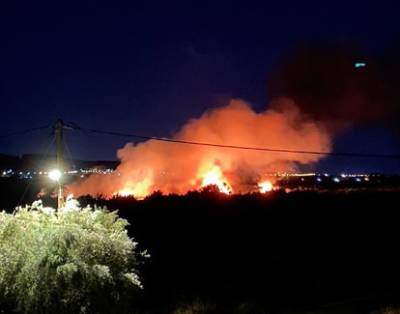 Μεσσηνία: Πυρκαγιά στην Ασπροπουλιά