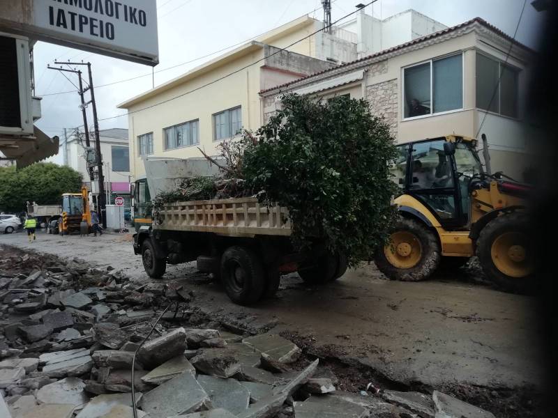 Διαμαρτυρίες για ξερίζωμα δέντρων στην Κυπαρισσία