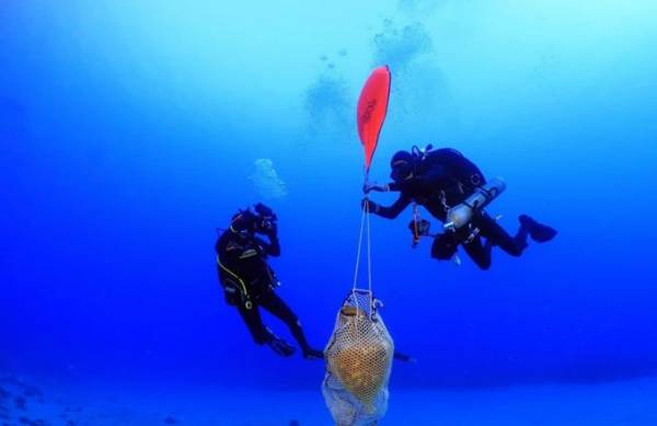 Αρχαία ναυάγια στον θαλάσσιο χώρο της Κάσου - Τι αποκάλυψε η υποβρύχια έρευνα