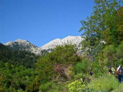Ανάβαση στον Πάρνωνα