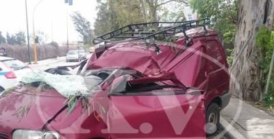 Οδηγός καταπλακώθηκε από δέντρο στα Χανιά