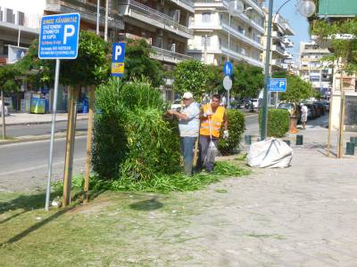 Εκοψαν τα χορτάρια στην πλατεία Ταξιαρχών