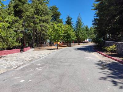 Καλαμάτα: Ξεκίνησε η λειτουργία της κατασκήνωσης στην Aγία Μαρίνα