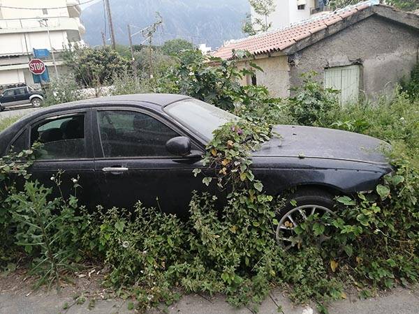 Αμάξι… γλάστρα