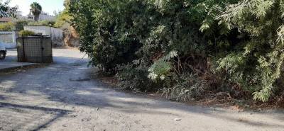 Μαθητές από τον χωματόδρομο...