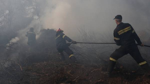 Μάχη με τις αναζωπυρώσεις δίνουν οι πυροσβέστες στην Εύβοια (Βίντεο)