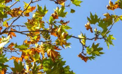 Καιρός: Μικρό καλοκαίρι σήμερα, ανεβαίνει η θερμοκρασία (Βίντεο)