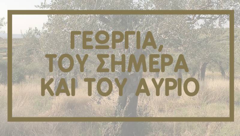 Εσπερίδα για ενδιαφέροντα ζητήματα από το Κέντρο Αγροδιατροφικής Επιχειρηματικότητας Μεσσηνίας