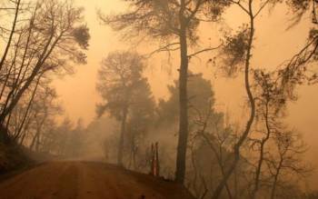 Αποκαταστάθηκε η ηλεκτροδότηση στην Νεάπολη - Σε ύφεση η φωτιά
