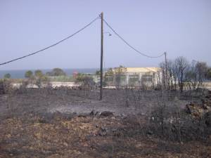Φωτογραφίες από τις πυρκαγιές στην Κυπαρισσία και το καταστροφικό τους έργο