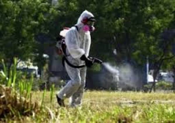 Ο πόλεμος των κουνουπιών