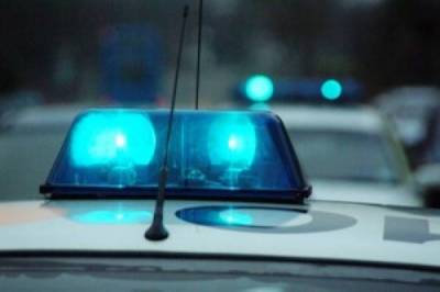 19 συλλήψεις στη Μεσσηνία