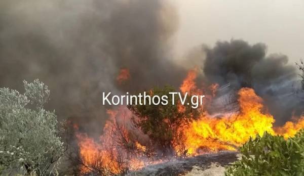 Φωτιά στο Ξυλόκαστρο - Στην περιοχή επιχειρούν ισχυρές δυνάμεις της Πυροσβεστικής